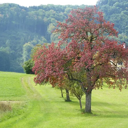 Landgut Wagnerfeld Apartmán Altmünster