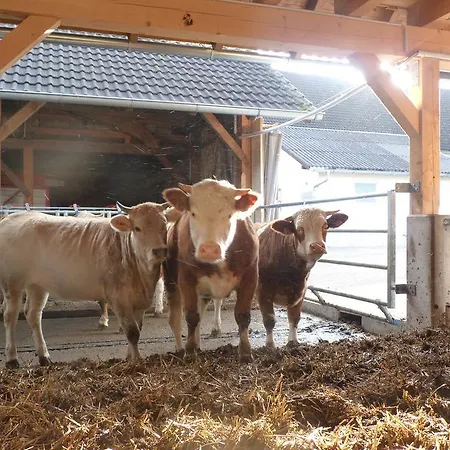 Apartman Landgut Wagnerfeld