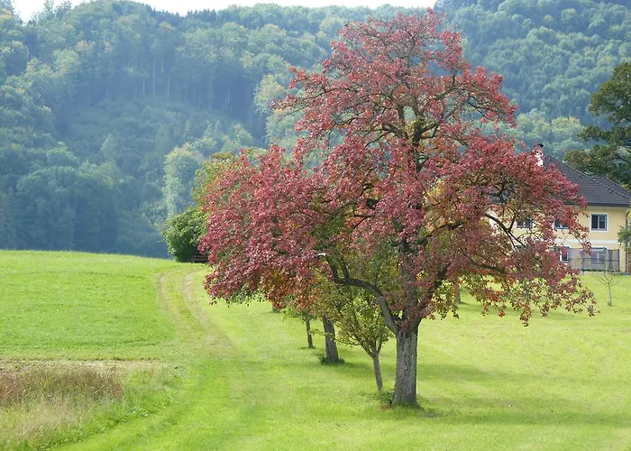Landgut Wagnerfeld Daire Altmünster