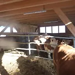 Landgut Wagnerfeld *