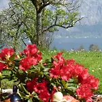 Landgut Wagnerfeld Appartamento Altmünster