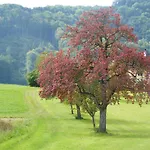 Landgut Wagnerfeld Appartamento Altmünster