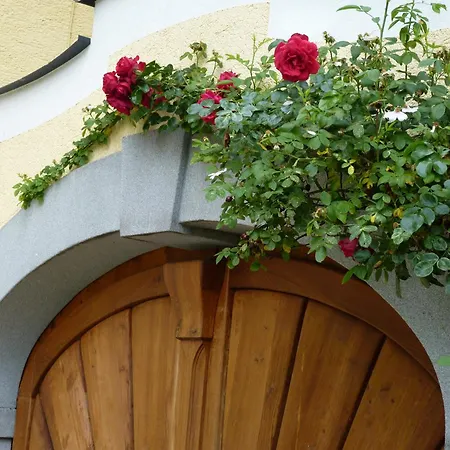 Landgut Wagnerfeld Apartment *