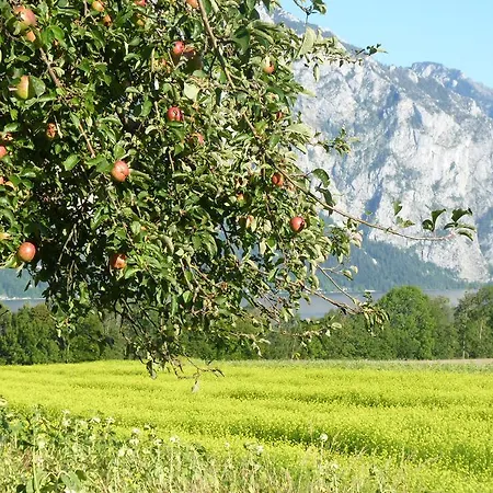 Landgut Wagnerfeld Apartamento Altmünster
