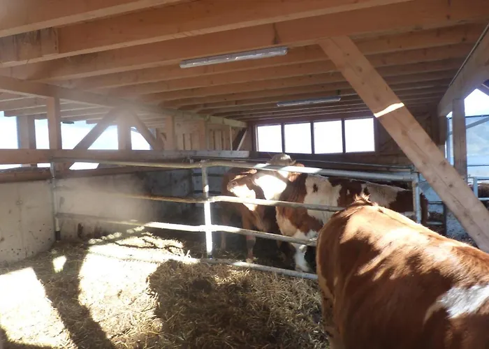 Landgut Wagnerfeld *