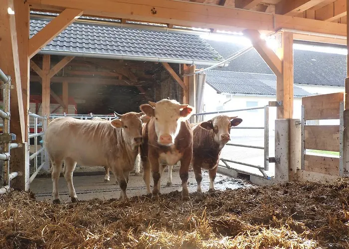 Apartamento Landgut Wagnerfeld