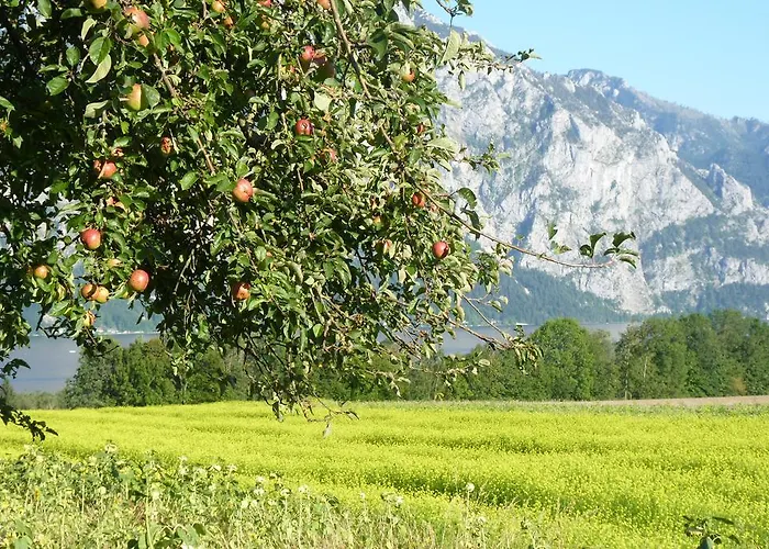 Landgut Wagnerfeld Apartamento Altmünster